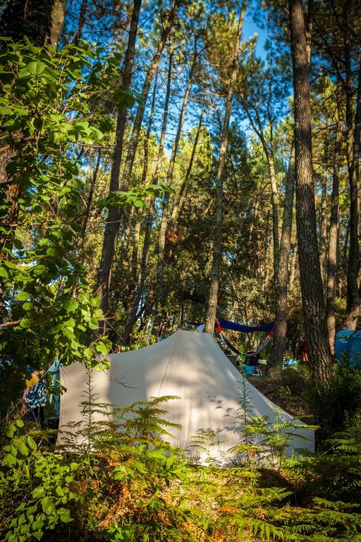 Camping La Sousta**** Remoulins Exterior foto