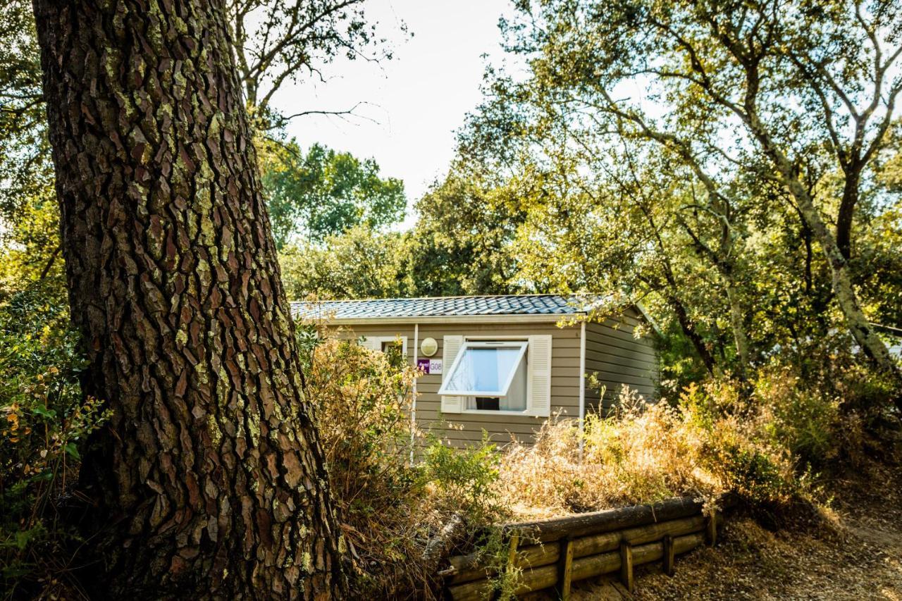 Camping La Sousta**** Remoulins Exterior foto
